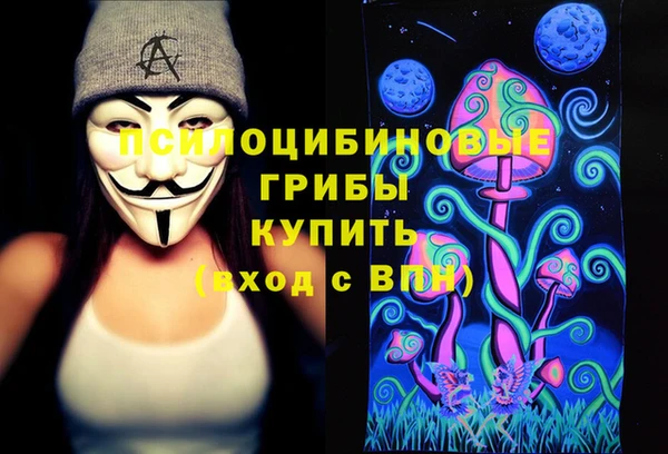 марки lsd Белокуриха